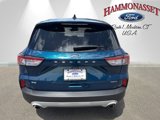 Certified 2020 Ford Escape SE Sport image 4