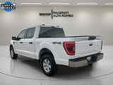 Used 2021 Ford F150 XLT w/ Equipment Group 301A Mid image 5