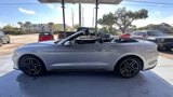 Used 2018 Ford Mustang Premium image 2
