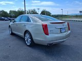Used 2014 Cadillac XTS Luxury w/ Driver Awareness Package image 5