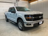 New 2025 Ford F150 XLT w/ Equipment Group 301A Standard image 3