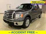 Used 2013 Ford F150 XLT w/ XLT Chrome Pkg image 3