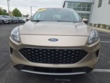Used 2021 Ford Escape SE w/ Convenience Package image 3