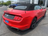 Used 2022 Ford Mustang Premium image 3