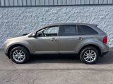 Used 2014 Ford Edge SEL w/ Equipment Group 204A image 1