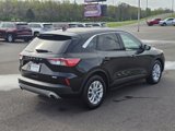 Used 2020 Ford Escape SE image 5