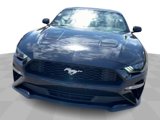 Used 2021 Ford Mustang Premium w/ Equipment Group 201A image 3