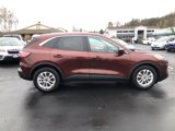 Used 2021 Ford Escape SE w/ Cold Weather Package image 5