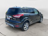 Used 2014 Ford Escape Titanium image 6