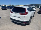 Used 2019 Honda CR-V EX-L image 6