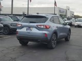 Certified 2022 Ford Escape SE w/ SE Sport Appearance Package image 4