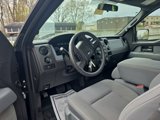 Used 2014 Ford F150 STX w/ Equipment Group 201A Mid image 3