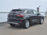 Certified 2023 Ford Escape Active w/ Tech Pack #1 image 6
