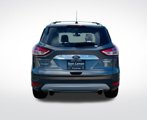 Used 2014 Ford Escape Titanium image 5