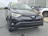 Used 2017 Toyota RAV4 XLE image 2