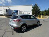 Used 2014 Ford Escape SE image 3