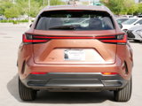 New 2025 Lexus NX 350 AWD w/ Premium Package image 5