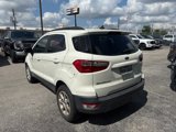 Used 2020 Ford EcoSport SE image 3