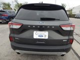 Used 2020 Ford Escape SEL image 4