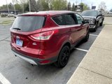 Used 2013 Ford Escape SE image 5