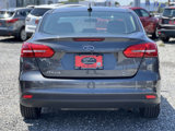 Used 2016 Ford Focus SE w/ SE Cold Weather Package image 5