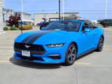 Used 2024 Ford Mustang Premium image 3