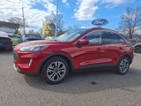 Certified 2021 Ford Escape SEL image 5