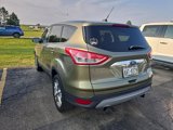 Used 2013 Ford Escape SEL image 5