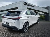 New 2025 Lexus UX 300h AWD image 4