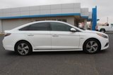 Used 2017 Hyundai Sonata Limited w/ Ultimate Package 02 image 2