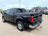 Used 2014 Ford F150 XLT w/ Equipment Group 302A Luxury image 5