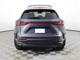 Certified 2025 Lexus NX 250 FWD w/ Premium Package image 6