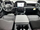 New 2024 Ford F150 STX w/ STX Black Appearance Package image 5