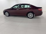 Used 2014 Honda Accord EX-L image 2