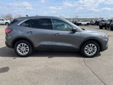 Used 2022 Ford Escape SE w/ Cold Weather Package image 6