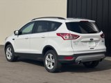 Used 2016 Ford Escape SE w/ SE Leather Comfort Package image 3