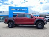Used 2019 Ford F150 Raptor w/ Equipment Group 802A Luxury image 2