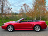 Used 2004 Ford Mustang Deluxe Convertible image 5