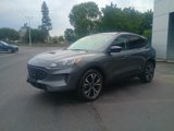 Certified 2022 Ford Escape SE w/ SE Sport Appearance Package image 3