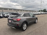 Used 2022 Ford Escape SE w/ Convenience Package image 6