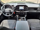 Certified 2023 Ford F150 XL w/ STX Appearance Package image 3