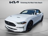 Used 2019 Ford Mustang Premium image 4