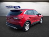 Used 2022 Ford Escape SE image 5