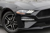 Certified 2023 Ford Mustang Premium image 6