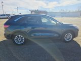 Used 2020 Ford Escape SE image 3