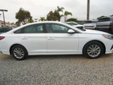 Used 2019 Hyundai Sonata SE image 4