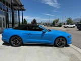 Used 2022 Ford Mustang Premium image 5