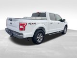 Used 2019 Ford F150 XLT w/ Equipment Group 301A Mid image 5