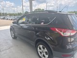 Used 2013 Ford Escape SE image 5
