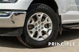 Used 2023 Ford F150 XLT w/ Equipment Group 301A Mid image 4